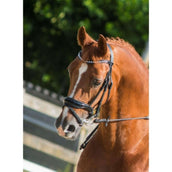 HB Showtime Hoofdstel Armani Zwart HB Showtime Hoofdstel Armani Zwart