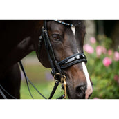 HB Stang en Trenshoofdstel Special for You Zwart/Navy HB Stang en Trenshoofdstel Special for You Zwart/Navy