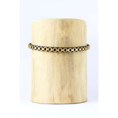 HB Showtime Frontriem Golden Chain Bruin HB Showtime Frontriem Golden Chain Bruin