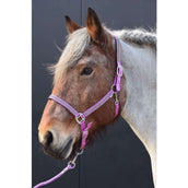 HB Halster Diamonds Collection Lichtpaars HB Halster Diamonds Collection Lichtpaars