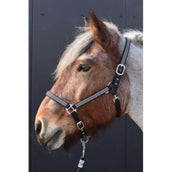 HB Halster Diamonds Collection Zwart HB Halster Diamonds Collection Zwart