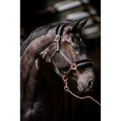 HB Halster Europe Rose Zwart HB Halster Europe Rose Zwart