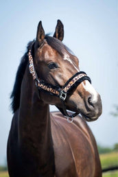 HB Halster Leopard Fur Leopard HB Halster Leopard Fur Leopard