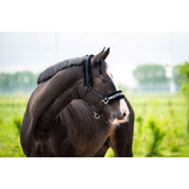 HB Halster Zebra Zwart/Wit HB Halster Zebra Zwart/Wit