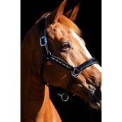 HB Showtime Halster Rivet Swarovski Leer Zwart/Navy HB Showtime Halster Rivet Swarovski Leer Zwart/Navy