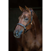 HB Showtime Halster Horse Name Leer Zwart HB Showtime Halster Horse Name Leer Zwart