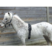 HB Longeersingel Little Sizes Zwart HB Longeersingel Little Sizes Zwart