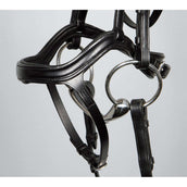 Harry's Horse Hoofdstel Anatomic Zwart Harry's Horse Hoofdstel Anatomic Zwart