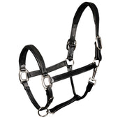 Harry's Horse Halster Leder Padded Zwart Harry's Horse Halster Leder Padded Zwart