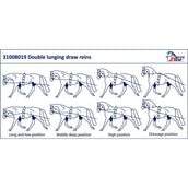 Harry's Horse Dubbele Longeerlijn Zwart Harry's Horse Dubbele Longeerlijn Zwart