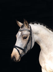 HKM Hoofdstel Little Star Zwart HKM Hoofdstel Little Star Zwart