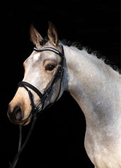 HKM Hoofdstel Little Star Zwart HKM Hoofdstel Little Star Zwart