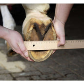 HKM Hoefschoen Zwart HKM Hoefschoen Zwart