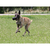 KONG Extreme Zwart KONG Extreme Zwart