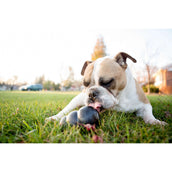 KONG Extreme Zwart KONG Extreme Zwart