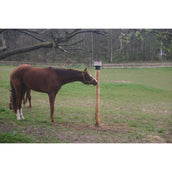 Agradi Liksteenhouder Voor Op Paal Ks Voor 10 Kg Agradi Liksteenhouder Voor Op Paal Ks Voor 10 Kg