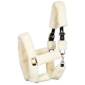 Harry's Horse Halster Teddy Harry's Horse Halster Teddy