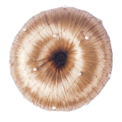 HORKA Haarnet Pearl Bruin HORKA Haarnet Pearl Bruin