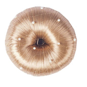 HORKA Haarnet Pearl Blond HORKA Haarnet Pearl Blond