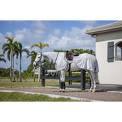 Amigo Flyrider Silver/Titanium Grey/Silver Amigo Flyrider Silver/Titanium Grey/Silver