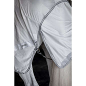 Amigo Flyrider Silver/Titanium Grey/Silver Amigo Flyrider Silver/Titanium Grey/Silver