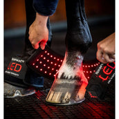 Horseware LED Red Light Therapy Mini Wrap Zwart Horseware LED Red Light Therapy Mini Wrap Zwart