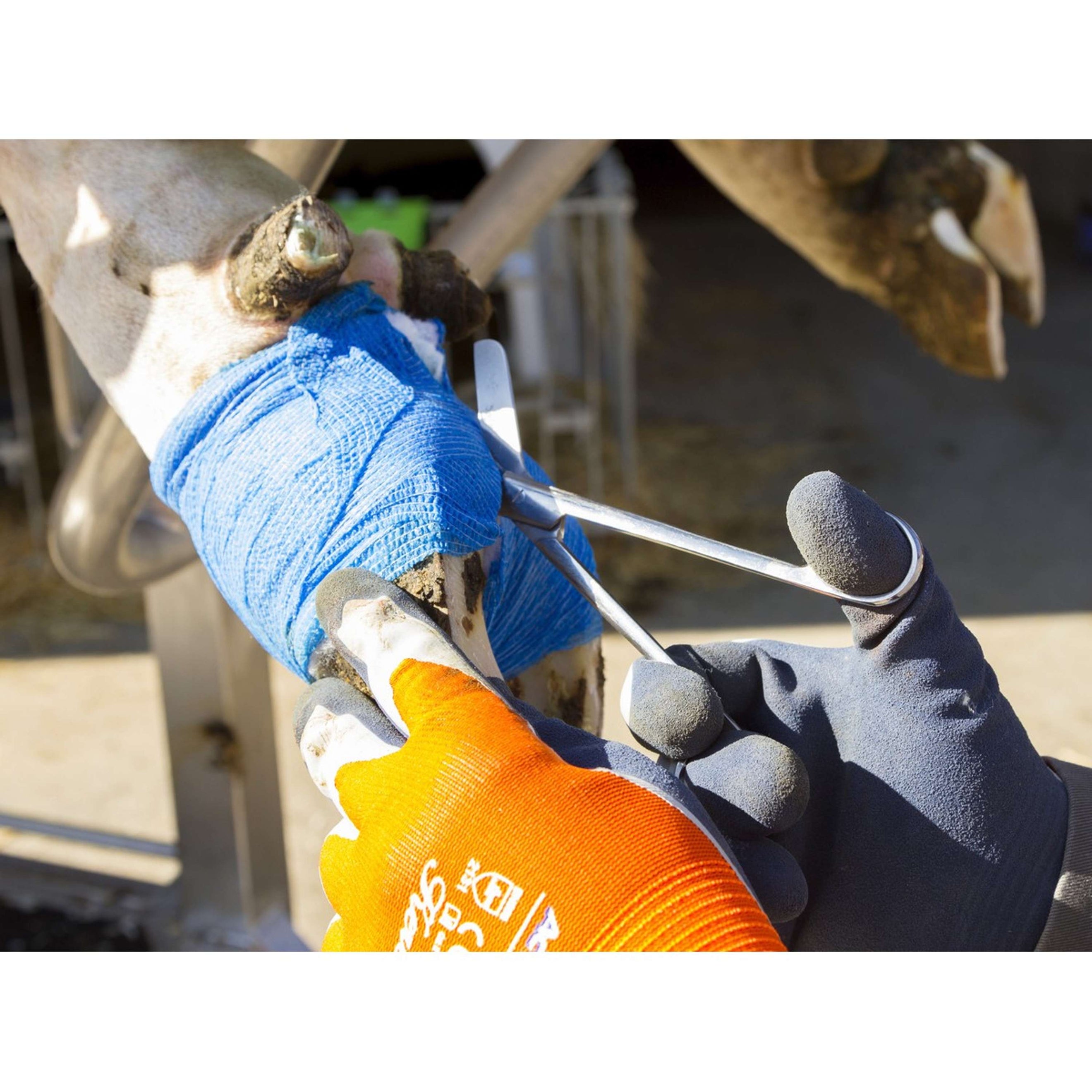 Kerbl Verbandschaar RVS Kerbl Verbandschaar RVS