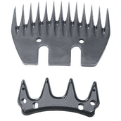 Constanta 3/4 Messet Schaap Constanta 3/4 Messet Schaap