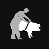 Kerbl Veemeetband Kerbl Veemeetband