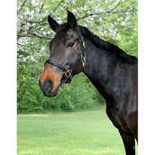 Covalliero Robuust Lederen Halster Bruin Covalliero Robuust Lederen Halster Bruin