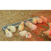 Kerbl Pluimvee Voerbak Metaal Kerbl Pluimvee Voerbak Metaal