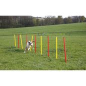 Kerbl Agility Set Compleet 3-delig Rood/Geel Kerbl Agility Set Compleet 3-delig Rood/Geel