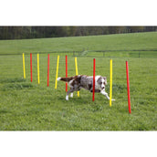 Kerbl Agility Set Compleet 3-delig Rood/Geel Kerbl Agility Set Compleet 3-delig Rood/Geel