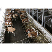 Kerbl InternetCamera IPCam 360 FHD 1080p Zwart Kerbl InternetCamera IPCam 360 FHD 1080p Zwart