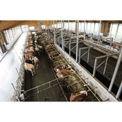 Kerbl InternetCamera IPCam 360 FHD 1080p Zwart Kerbl InternetCamera IPCam 360 FHD 1080p Zwart