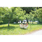 Ako Pluimveenet Dubbele Pen Geleidend Groen Ako Pluimveenet Dubbele Pen Geleidend Groen