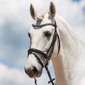 Kieffer Trenshoofdstel Fashion Ultrasoft Engels Zwart Kieffer Trenshoofdstel Fashion Ultrasoft Engels Zwart