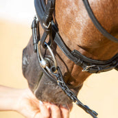 Kieffer Hoofdstel Ultrasoft Economy II Zwart Kieffer Hoofdstel Ultrasoft Economy II Zwart