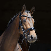 Kieffer Hoofdstel Softtech Line Anouk Zwart/Lak Kieffer Hoofdstel Softtech Line Anouk Zwart/Lak