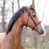 Kavalkade Hoofdstel Florina KavalSH4 Rond Gestikt Bruin Kavalkade Hoofdstel Florina KavalSH4 Rond Gestikt Bruin