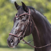 Kavalkade Hoofdstel Everana Hannover Bruin Kavalkade Hoofdstel Everana Hannover Bruin