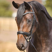 Kavalkade Frontriem met Strassstenen Zwart Kavalkade Frontriem met Strassstenen Zwart