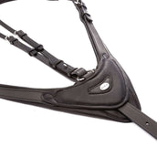 Kavalkade Martingaal Azriel Zwart Kavalkade Martingaal Azriel Zwart