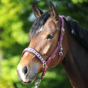 Kavalkade Perlon Halster Perlon Classic Bordeaux Kavalkade Perlon Halster Perlon Classic Bordeaux