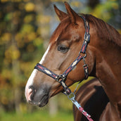 Kavalkade Halster Classic Raute Blauw/Creme/Bordeaux Kavalkade Halster Classic Raute Blauw/Creme/Bordeaux