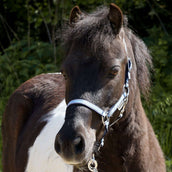 Kavalkade Halster Shorty Blauw Kavalkade Halster Shorty Blauw