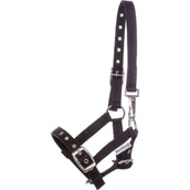 Kavalkade Veulen en Jaarlinghalster Zwart Kavalkade Veulen en Jaarlinghalster Zwart