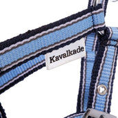 Kavalkade Halster Foal/Yearling Lichtblauw/Navy/Wit Kavalkade Halster Foal/Yearling Lichtblauw/Navy/Wit