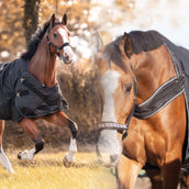 Kavalkade Turnout / Stapmolendeken Halifax 2in1 50g Zwart Kavalkade Turnout / Stapmolendeken Halifax 2in1 50g Zwart