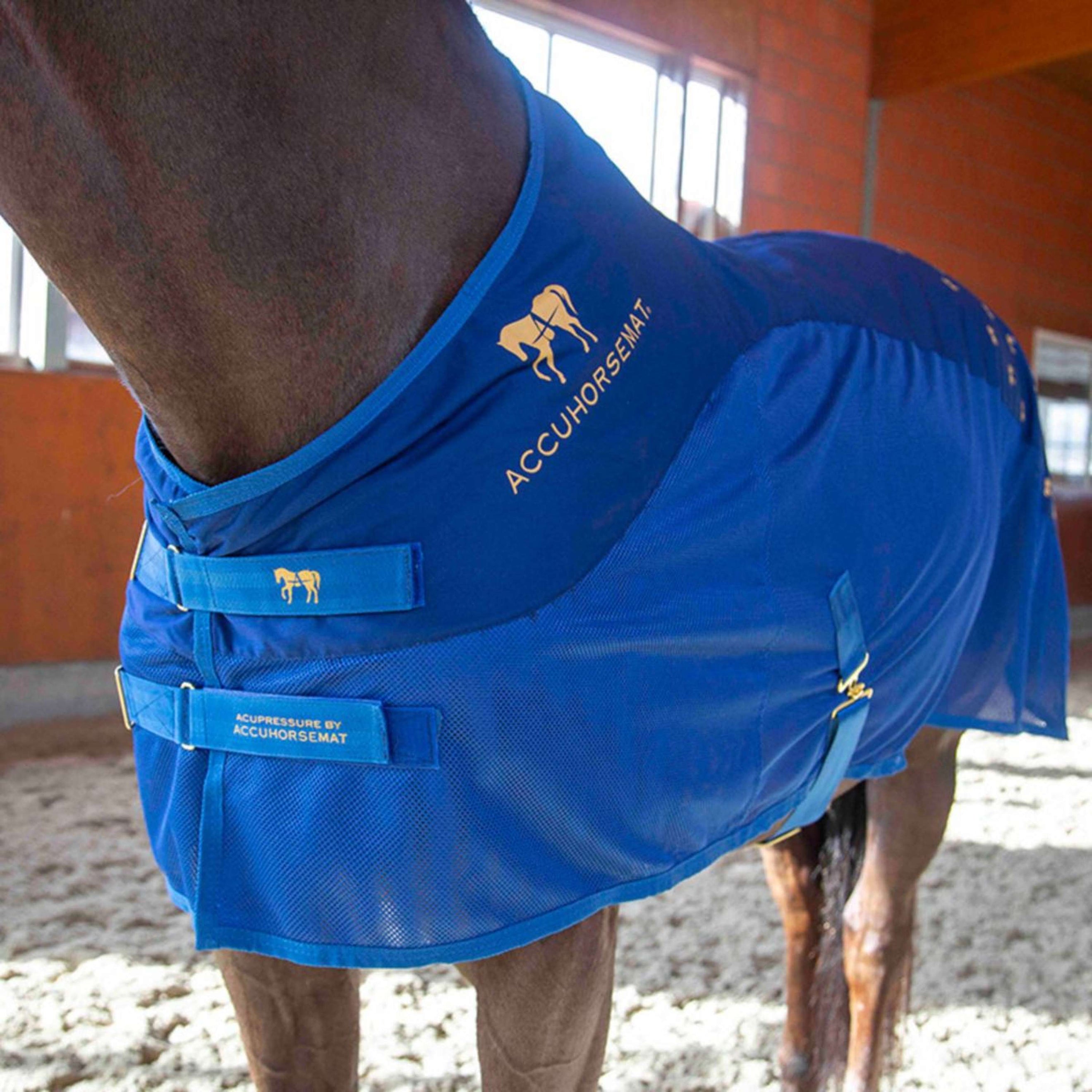 Accuhorsemat Deken Cooler met Accupressure Mat Blauw Accuhorsemat Deken Cooler met Accupressure Mat Blauw
